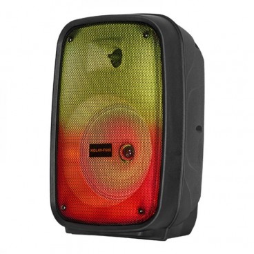 Boxa activa karaoke portabila cu Bluetooth, SD-card, MP3, stick USB