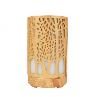 Difuzor aromaterapie, umidificator.