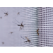 Plasa de fereastra anti insecte cu adeziv model magnet 130 x 150cm