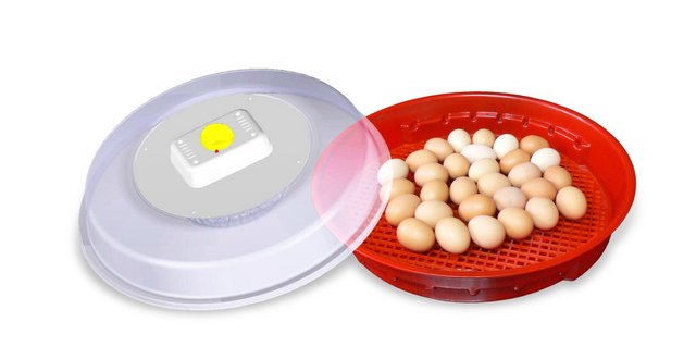 Image of Incubator pentru oua IO102TH cu termohigrometru